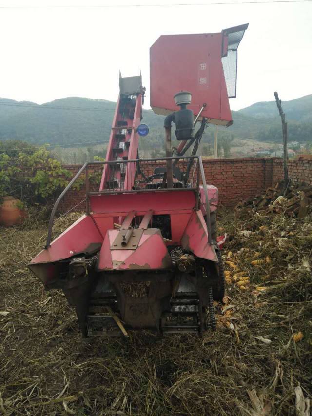 百佳超市有健身手套嗎_健身手套哪里有賣_健身手套去哪里買