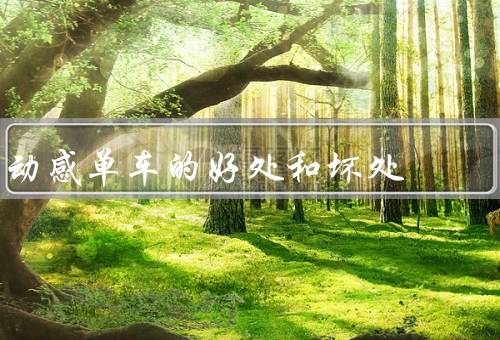 kaiyun下載app下載安裝手機版 動感單車的好處和壞處，鍛煉效果顯著／燃燒卡路里／隨時隨地鍛煉