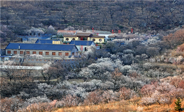 pg麻將胡了試玩平臺 9.9元！西海岸萬張門票特價搶購，涉大珠山、瑯琊臺等十大景區(qū)