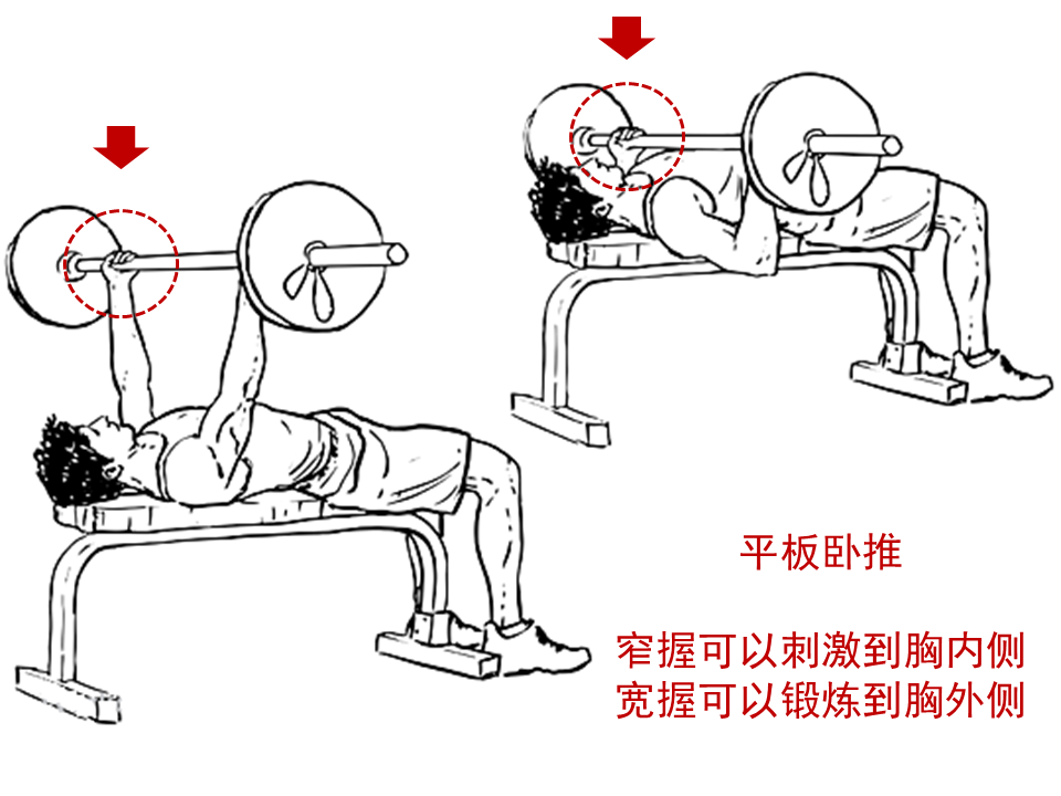 如果練下胸_女性能不能練下胸_女性能練下胸嗎