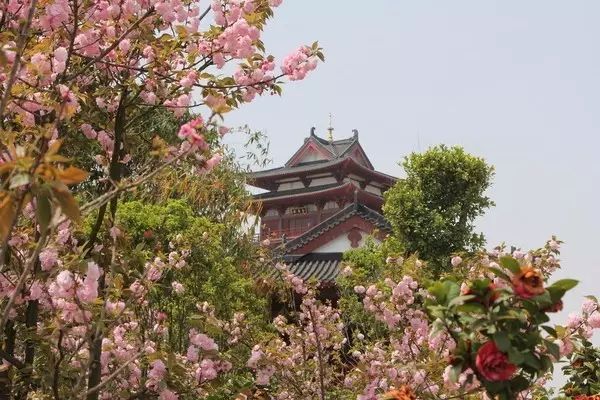 視頻心事廣場(chǎng)蓮舞32步_蓮的心事廣場(chǎng)舞視頻_廣場(chǎng)舞蓮的心事十六步