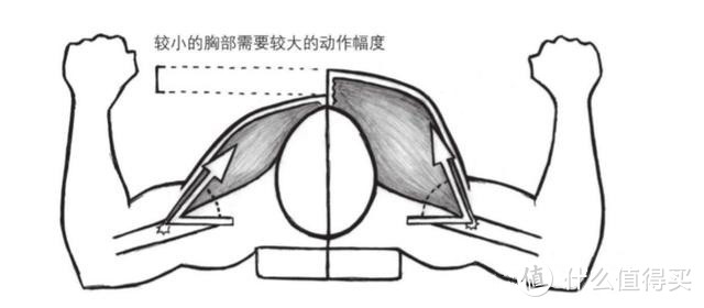 胸部位置相對于手臂位置更高，發(fā)力方向就會越接近于垂直