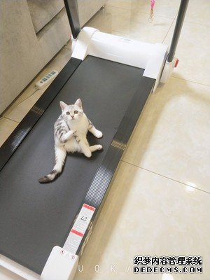 飛健f2跑步機首次優(yōu)缺點曝光，質量真相如何，不看后悔？(圖3)
