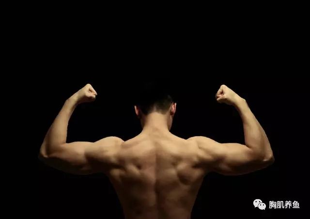 kaiyun官方網(wǎng)app下載app 如何挑選健身裝備，讓身體和錢包雙雙受益？