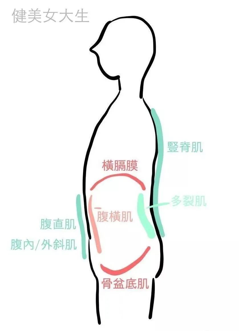 做力量訓(xùn)練時(shí)呼吸方法_呼吸力量訓(xùn)練感悟_呼吸與力量訓(xùn)練的配合