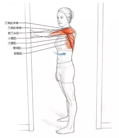 健身后拉伸的重要性_健身拉伸有用嗎_拉伸對(duì)于健身的重要性