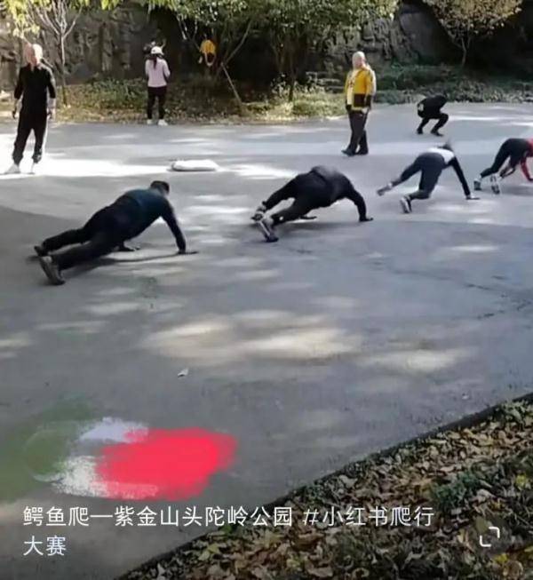 爬行器健身好嗎_爬行器材鍛煉_爬行器運動的危害