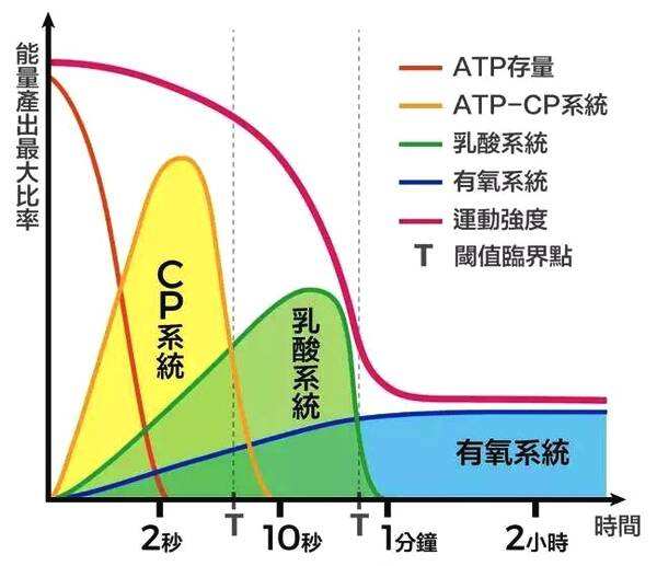 運(yùn)動后過量氧耗_有氧運(yùn)動不要超過_運(yùn)動氧超過要有什么反應(yīng)