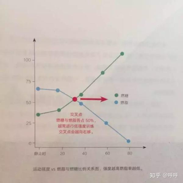 運(yùn)動氧超過要有什么反應(yīng)_運(yùn)動后過量氧耗_有氧運(yùn)動不要超過