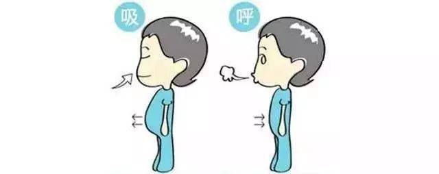 運動神經(jīng)好的人_神經(jīng)運動是什么_運動神經(jīng)鍛煉
