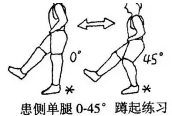 股后肌群訓練6種方法_股后群肌包括_肌群訓練方法的設計