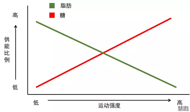 春雨醫(yī)生