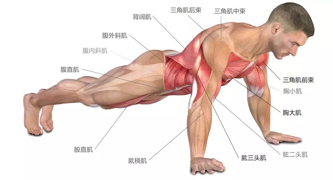 pg電子麻將胡了 俯臥撐一個(gè)月練出飽滿胸肌，他做對(duì)了這兩件事，健身新手應(yīng)該學(xué)習(xí)