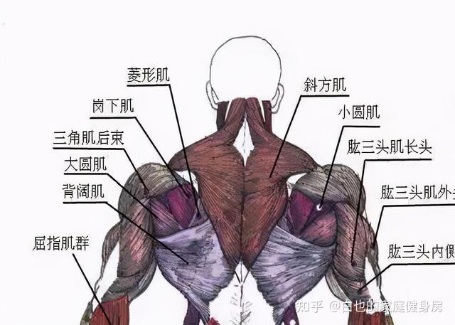 手套材質(zhì)健身好不好_健身手套什么材質(zhì)好_健身手套選擇