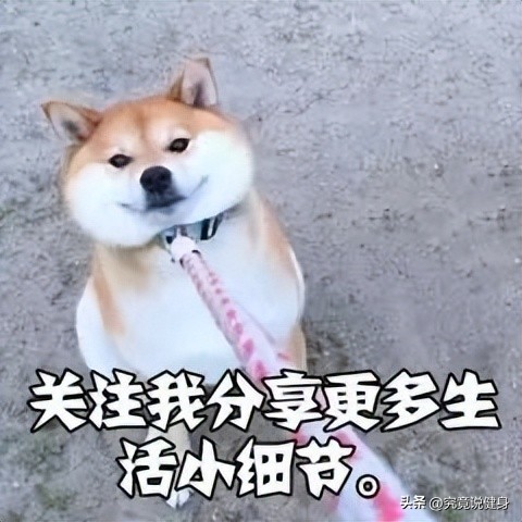 健身護(hù)腕有什么用_護(hù)腕護(hù)肘護(hù)膝腰帶深蹲鞋硬拉護(hù)掌_健身補(bǔ)劑外用護(hù)具