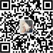 肚皮舞是有氧運動嗎_肚皮舞pose_有氧操肚皮舞