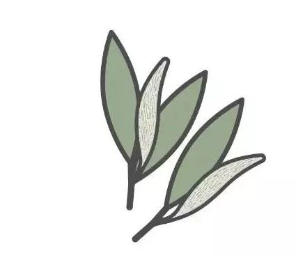 地面雙腿壓前腿_地面壓前腿的正確方法_地面壓正腿視頻