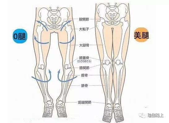 瑜伽腿型矯正_瑜伽改善腿型動作_改善x型腿的瑜伽