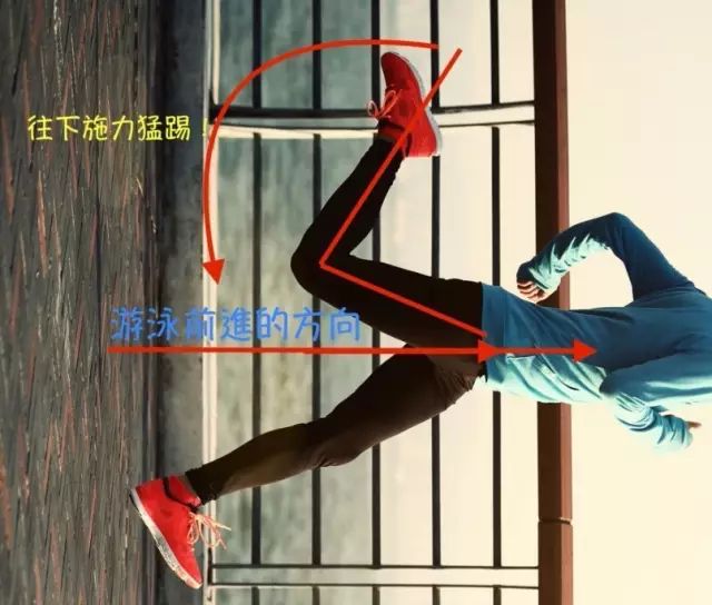 pg電子麻將胡了 自由泳打腿，髖部怎么帶動(dòng)？