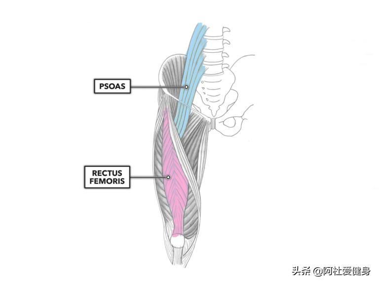 GHD仰臥起坐_仰臥起坐健身器怎么用_CrossFit核心訓(xùn)練