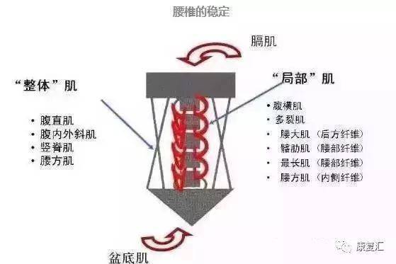 pg麻將胡了試玩平臺(tái) 懸吊訓(xùn)練（SET）康復(fù)原理及臨床應(yīng)用