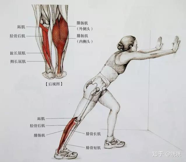 肌肉腿矯正_瘦腿操下載_脂肪腿訓(xùn)練