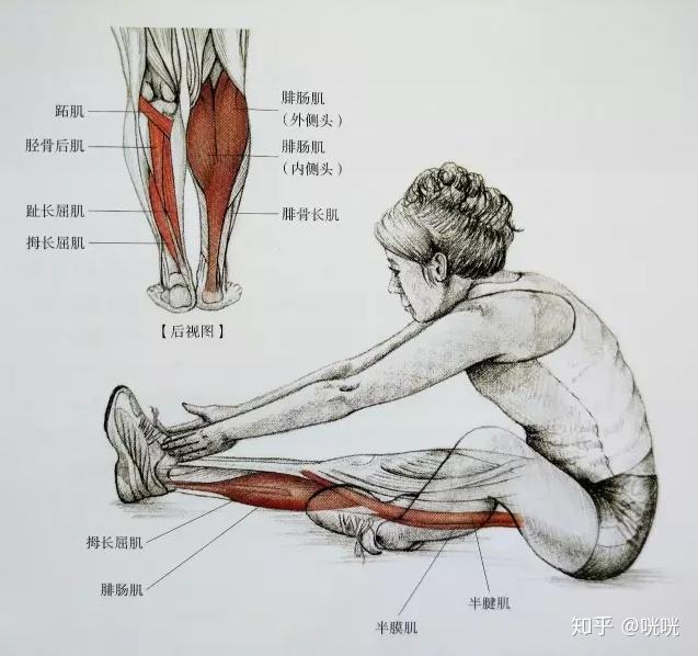 瘦腿操下載_脂肪腿訓(xùn)練_肌肉腿矯正