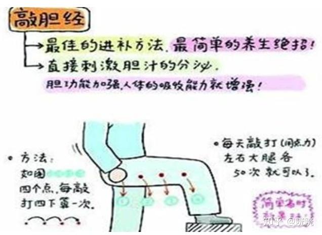 脂肪腿訓(xùn)練_肌肉腿矯正_瘦腿操下載