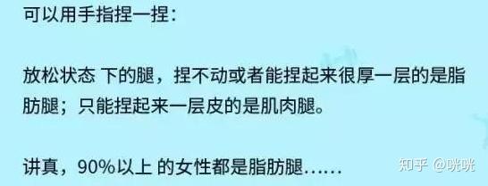 瘦腿操下載_脂肪腿訓(xùn)練_肌肉腿矯正
